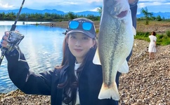 红海棠剧情介绍